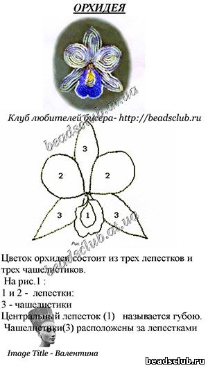 орхидея из бисера схема