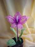 орхидея из бисера Лейла