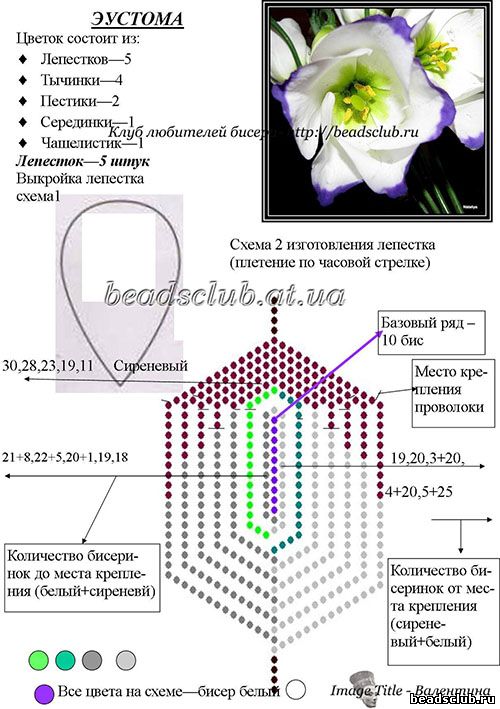 эустома из бисера схема