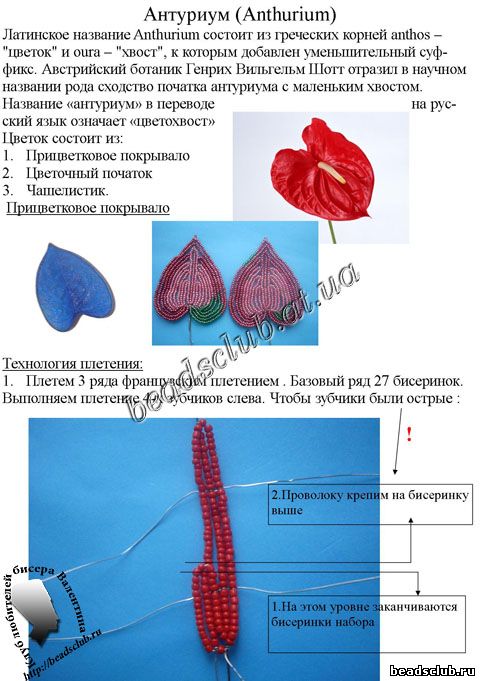 антуриум из бисера схема.1