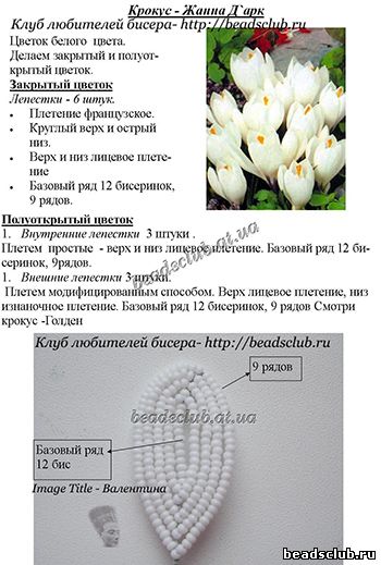 крокус из бисера схема