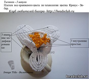 .1крокус из бисера схема