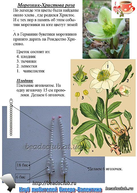 морозник из бисера