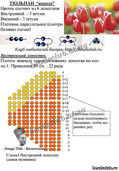 тюльпан из бисера схема
