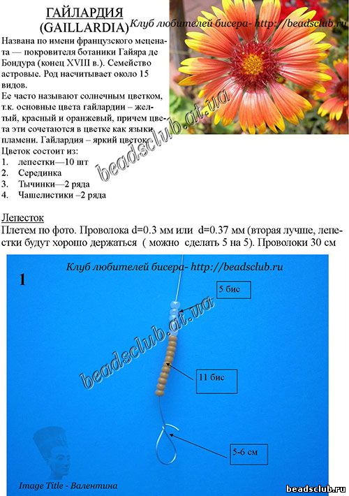 схема гайлардия из бисера .1