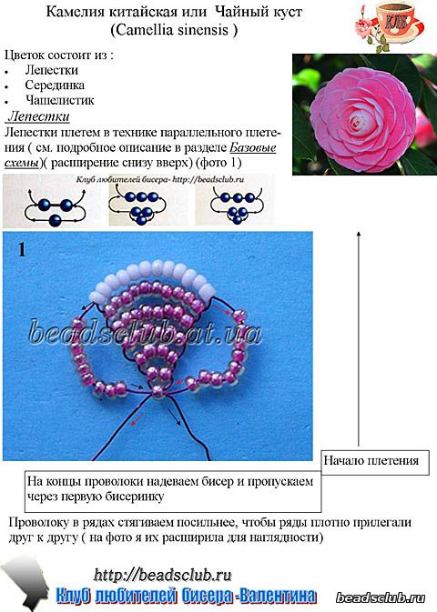 камелия из бисера схема.1