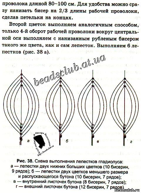 гладиолус из бисера схема.1