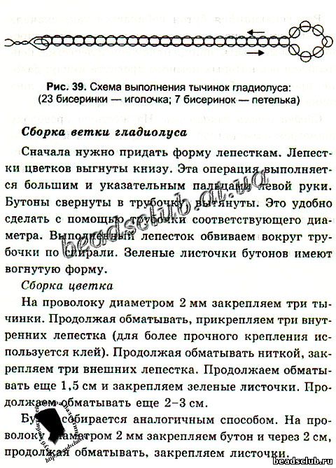 гладиолус из бисера схема.2