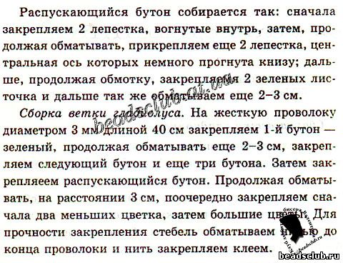 гладиолус из бисера схема.3