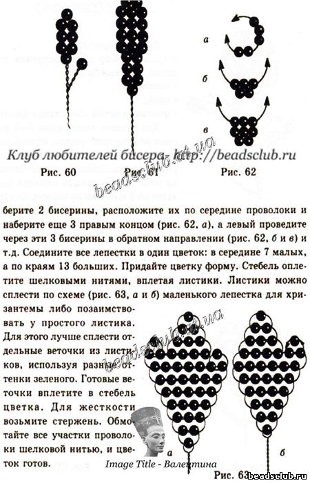 хризантема схема.1