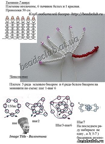 кактус рождественский схема.2