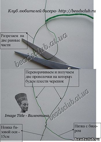 кактус рождественский схема.4