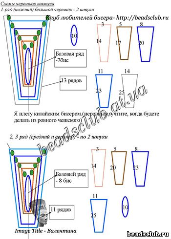 кактус рождественский схема.9