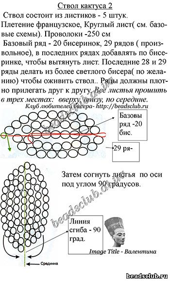 кактус-колючка схема.3