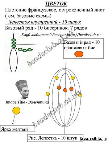 кактус-колючка схема.6