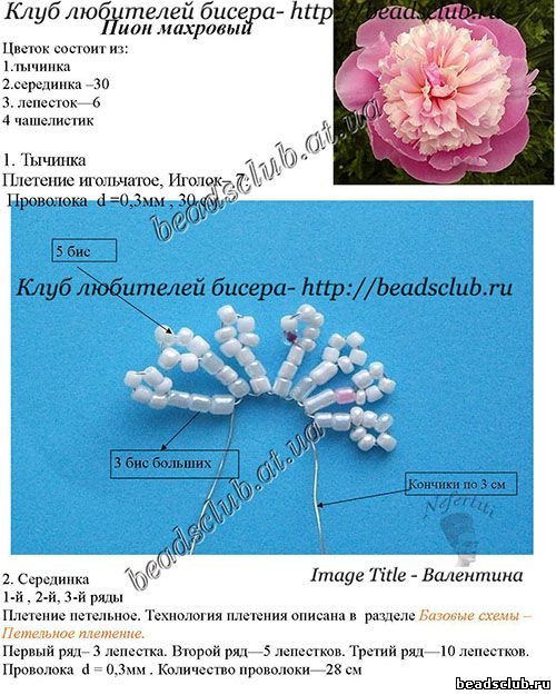 пион из бисера схема