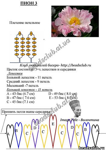 пион петельное плетение схема