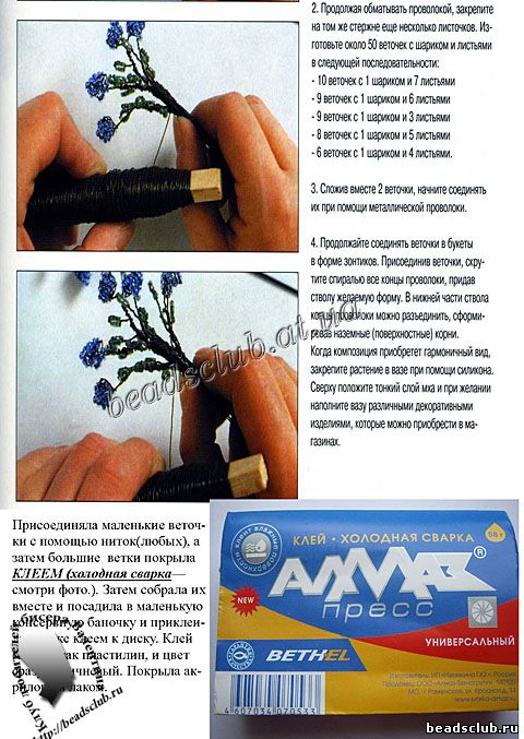 жимолость схема.1