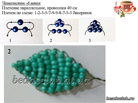 лилия схема.3