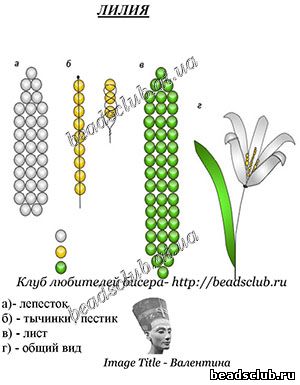 лилия параллельное плетение схема