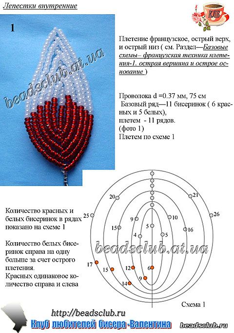 лилия триумфатор схема