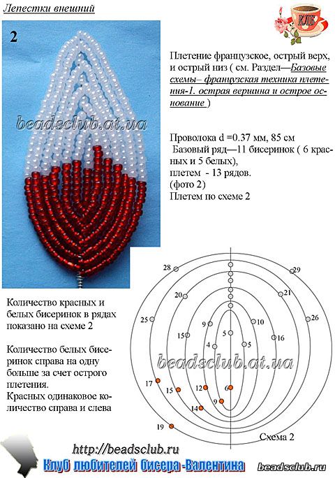 лилия триумфатор схема.1