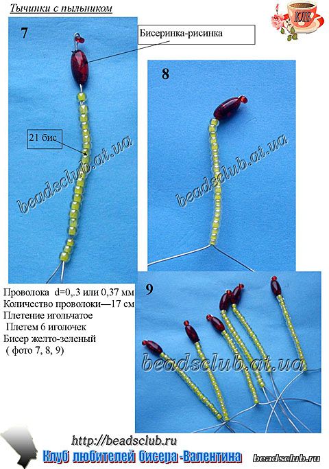 лилия триумфатор схем.3