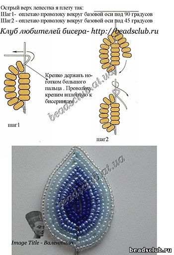 бугенвиллия схема.1