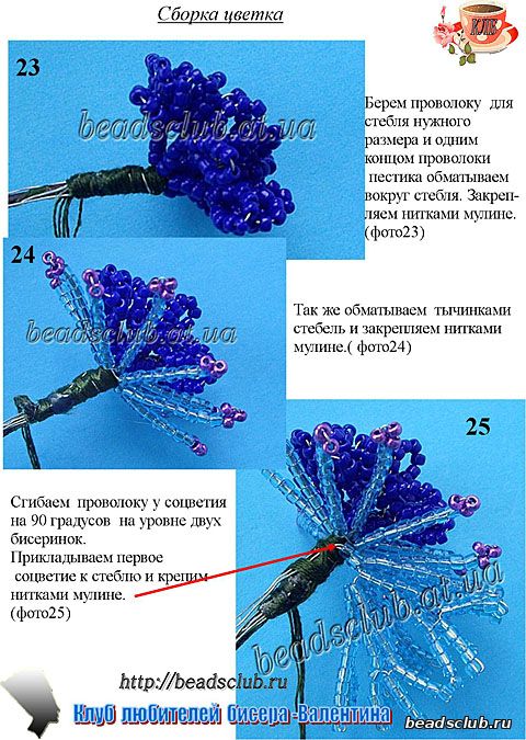 схема василек полевой из бисера .10