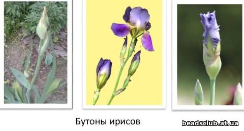 фото