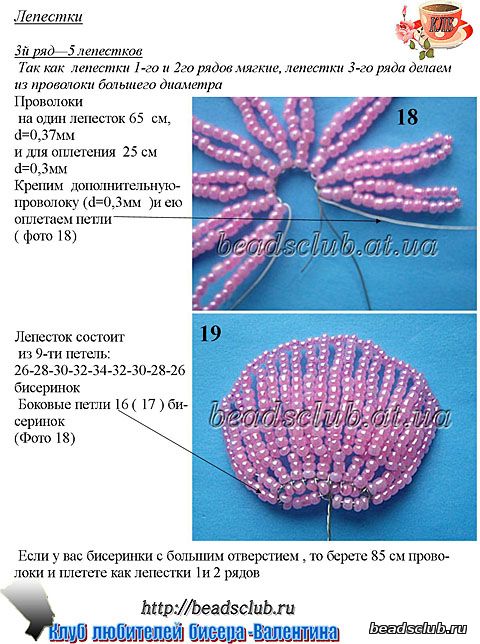 камелия схема.5