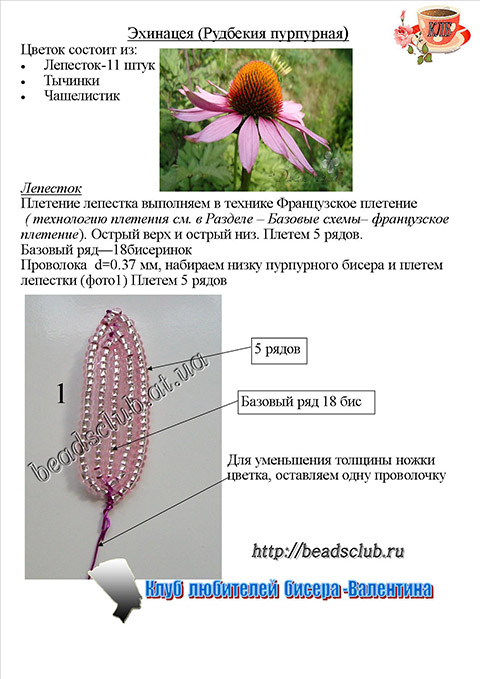эхинацея из бисера схема