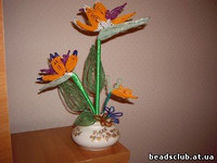 стрелиция из бисера