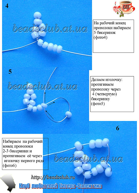 гвоздика махровая схема.1