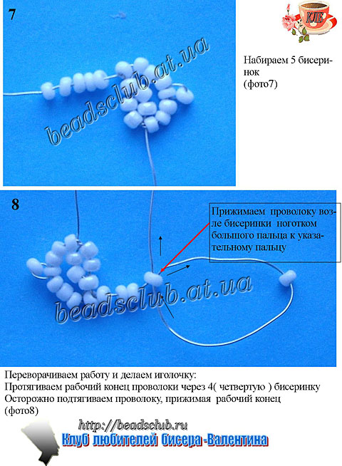 гвоздика махровая схема.2