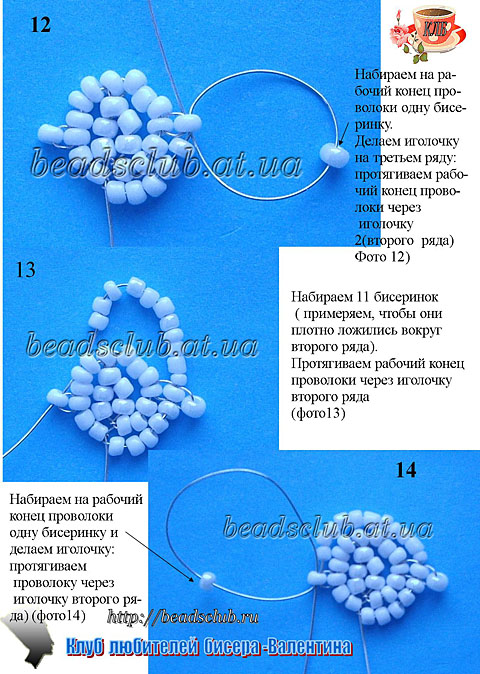 гвоздика махровая схема.4