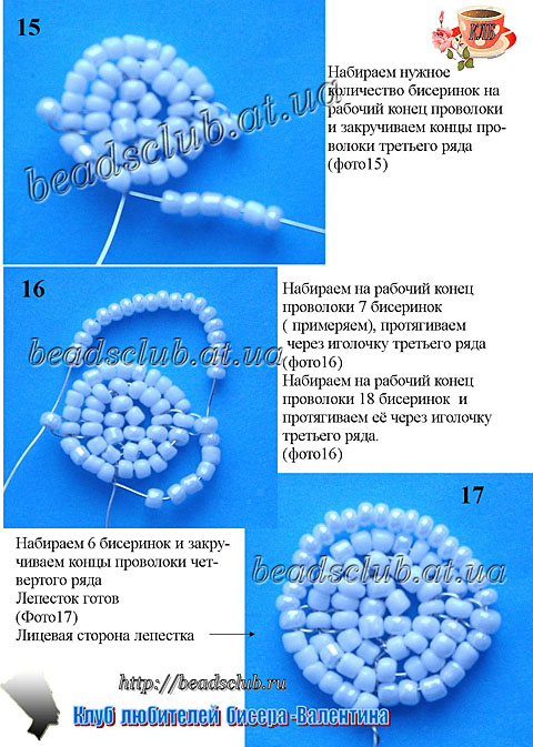 гвоздика махровая схема.5