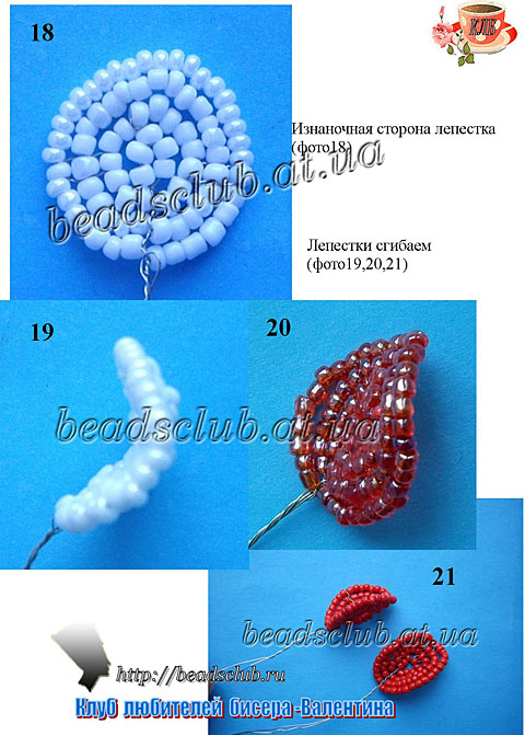 гвоздика махровая схема.6