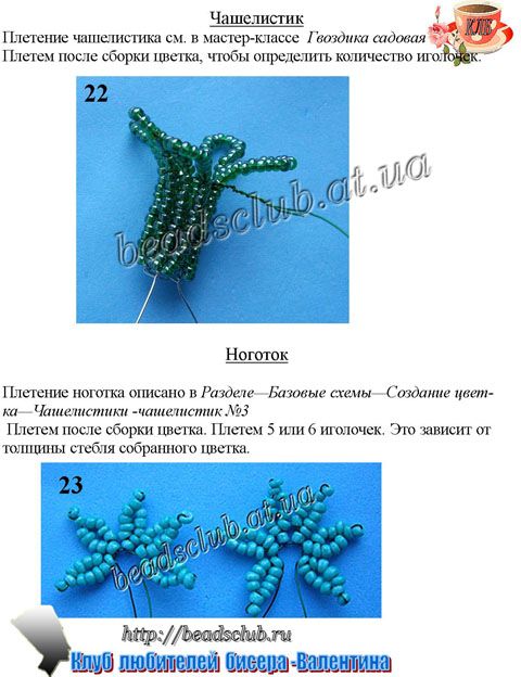 гвоздика махровая схема.7