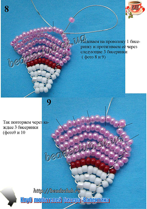 гвоздика бородатая схема.4