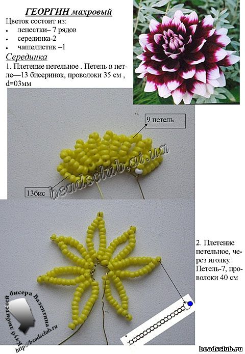  георгин махровый из бисера схема.1