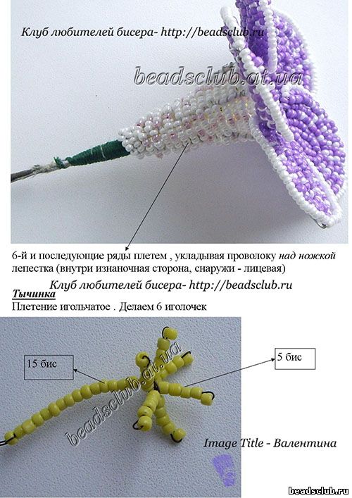 глоксиния из бисера схема.8